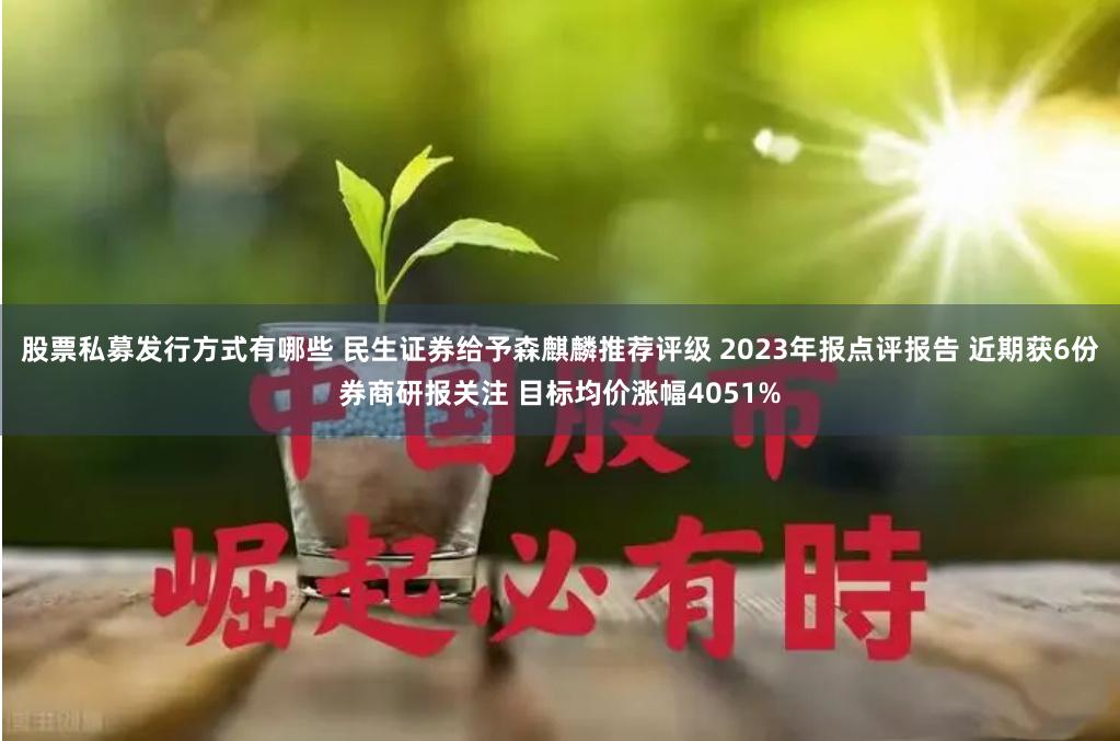 股票私募发行方式有哪些 民生证券给予森麒麟推荐评级 2023年报点评报告 近期获6份券商研报关注 目标均价涨幅4051%